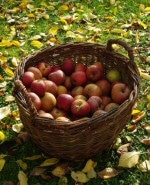 Apple Pickin' Jubilee