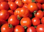 Tomatoes