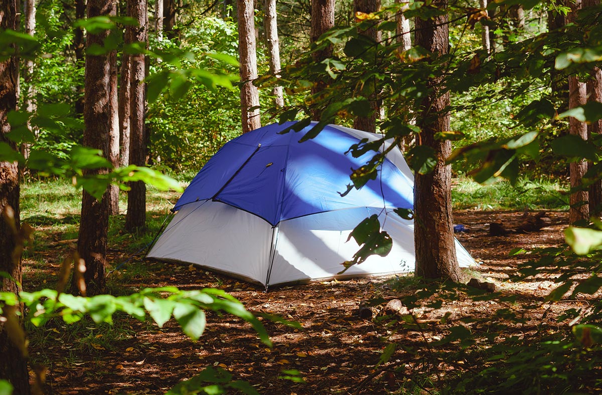 camping ellijay