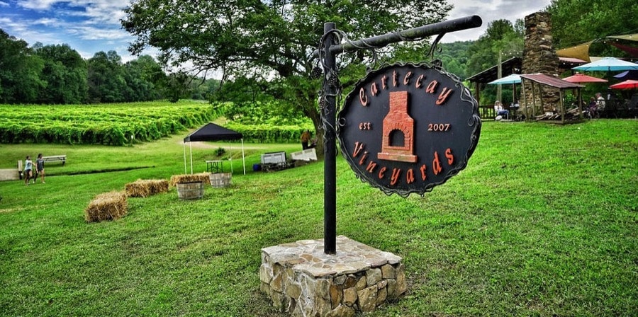 CARTECAY VINEYARDS