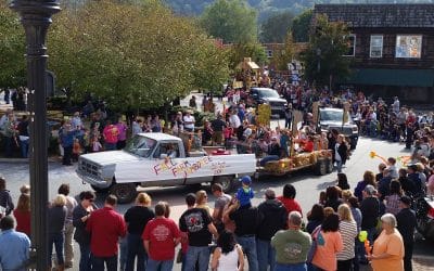 Fall Festivals in Ellijay: A Guide to the Best of the 2025 Season