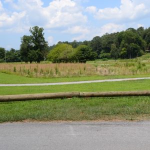 Resolution Run 5K at Harrison Park