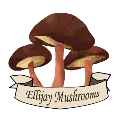 Ellijay Mushrooms Fungi 5K