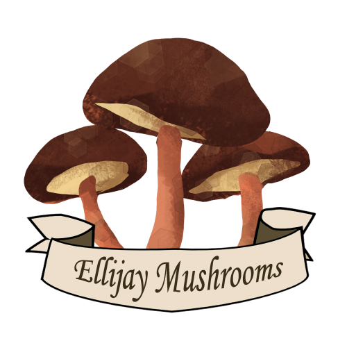 Ellijay Mushrooms Fungi 5K