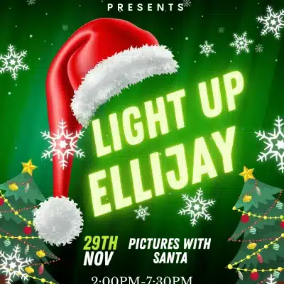 Light Up Ellijay 2024