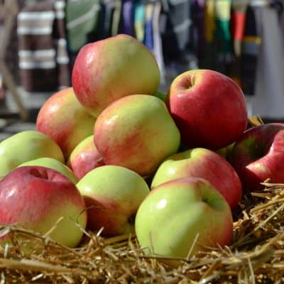 2025 Apple Arts Festival 1st Weekend