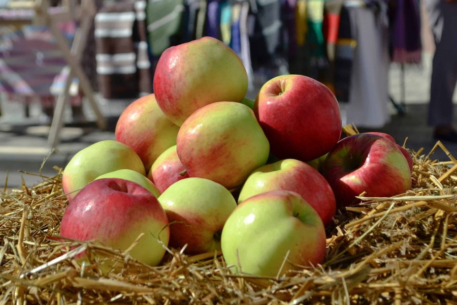 2025 Apple Arts Festival 1st Weekend